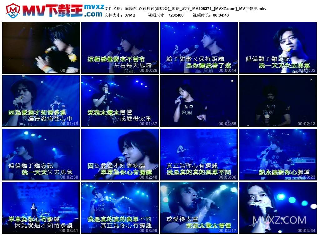 陈晓东-心有独钟(演唱会)_国语_流行_MA108371